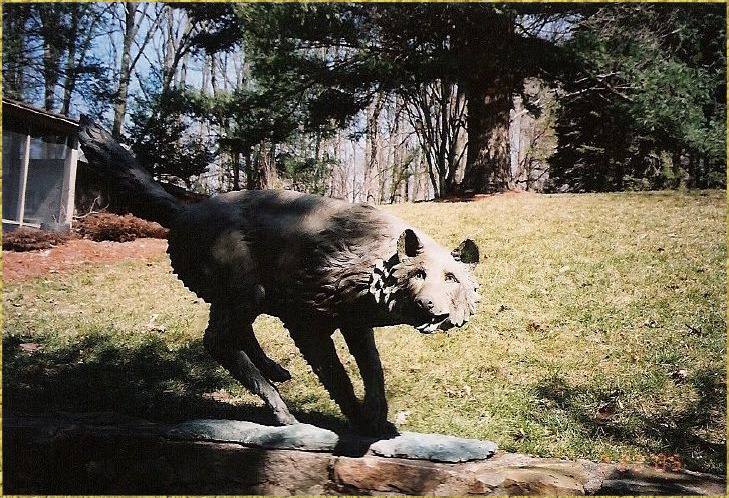 Turning Wolf